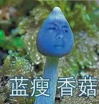 蓝瘦香菇