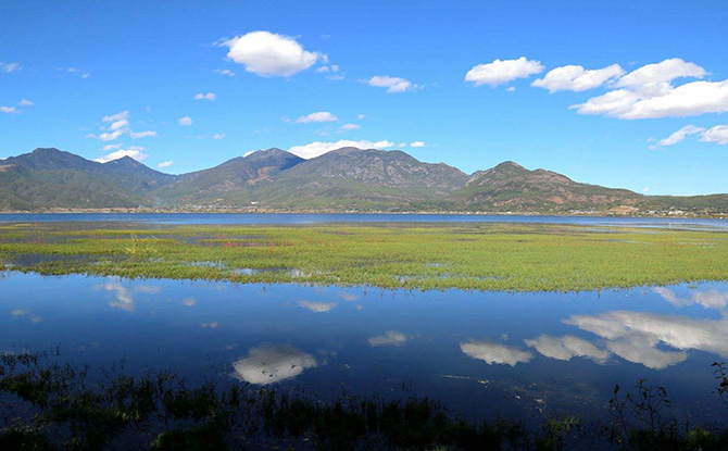 拉市海湿地公园