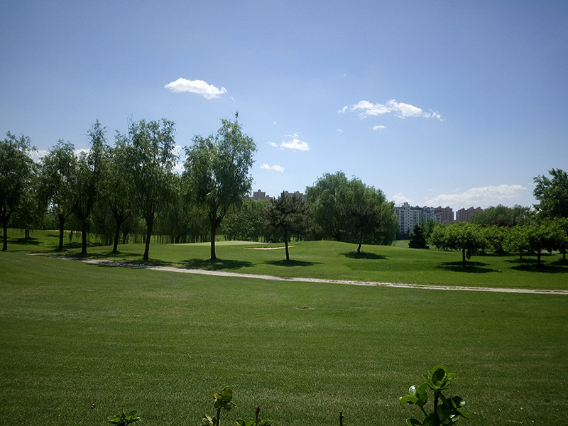 世纪公园高尔夫球场