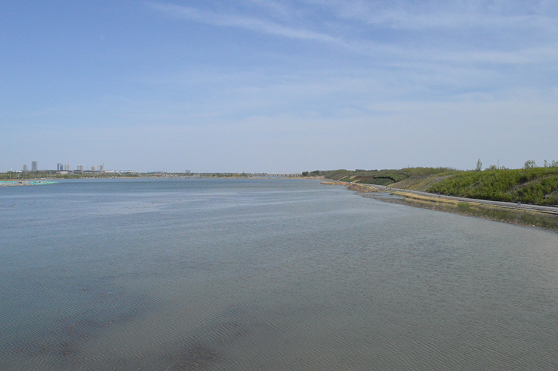 滹沱河风景